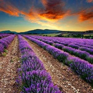 Meet your Posher, Claudette